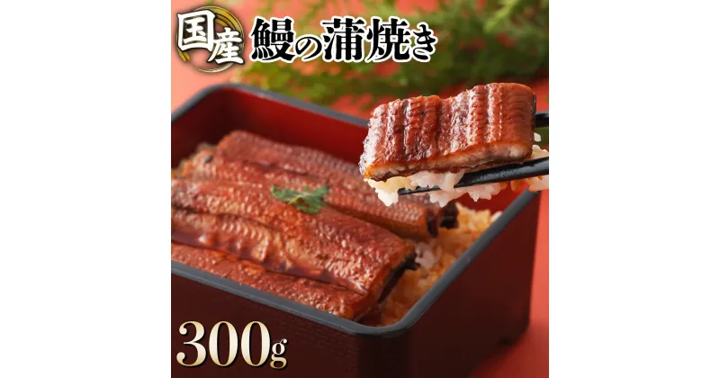 【ふるさと納税】国産うなぎ蒲焼 合計300g（150g×2尾）ウナギ 鰻 高知県 東洋町 四国 お取り寄せ 家庭用 自宅用 贈り物 ギフト タレ・山椒付き うな重 鰻丼 うな丼 うな茶漬け 【送料無料】 U001