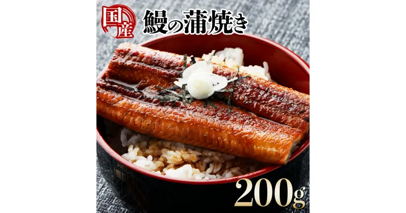 【ふるさと納税】国産うなぎカット大 合計200g（100g×2袋）ウナギ 鰻 高知県 東洋町 四国 お取り寄せ 家庭用 自宅用 贈り物 ギフト タレ・山椒付き うな重 鰻丼 うな丼 うな茶漬け 【送料無料】TU-02