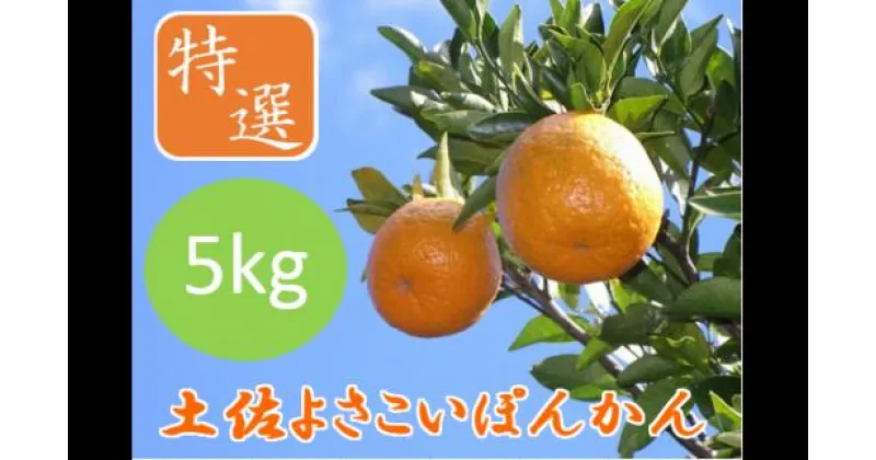 【ふるさと納税】＜先行予約＞土佐よさこいぽんかん【特選5kg】 国産 東洋町産 訳あり 甘酸っぱい 甘い 蜜柑 ミカン ジューシー 高知県 東洋町 四国 お取り寄せ フルーツ 果物 送料無料 産地直送 JT-01