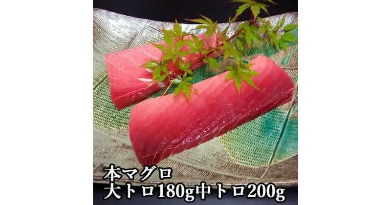 【ふるさと納税】本鮪大トロ180g中トロ200g　鮪　本マグロ　大トロ　中トロ　刺身 　天然本鮪　贅沢　新鮮