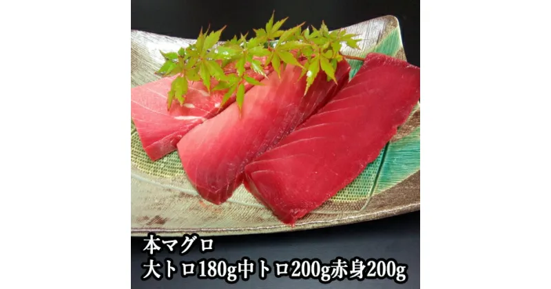 【ふるさと納税】本鮪大トロ180g中トロ200g赤身200g　鮪 本マグロ 大トロ 中トロ 赤身 刺身 まぐろ丼 冷凍