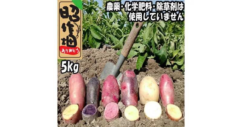 【ふるさと納税】じゃがいも食べ比べセット5kg　じゃがいも　食べ比べ　無農薬　新鮮　産地直送　季節限定