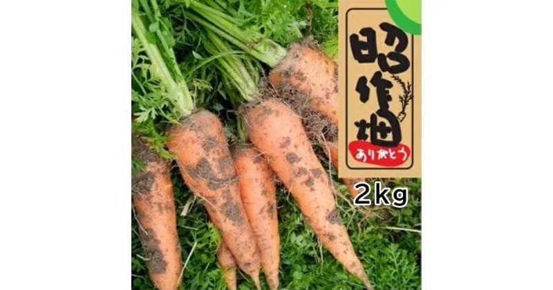 【ふるさと納税】土付きにんじん2kg 　無農薬 　土付き 　人参　掘りたて　季節限定　新鮮　健康　産地直送　冬野菜