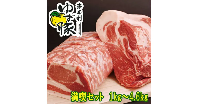 【ふるさと納税】 奈半利ゆず豚満喫セット　豚肉　ロース　肩ロース　バラスライス　モモ切落とし　ミンチ　詰め合わせ