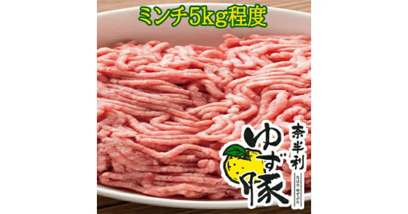 【ふるさと納税】奈半利ゆず豚ミンチ（5kg程度）　豚肉　ミンチ　ゆず豚 　たっぷり