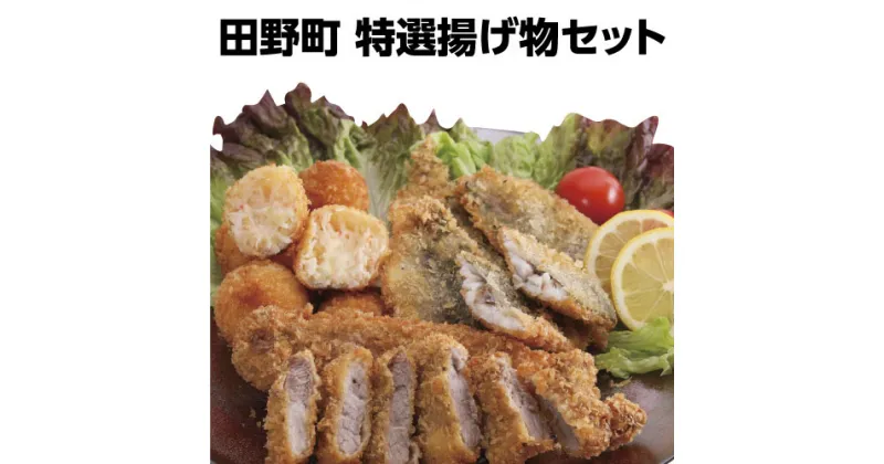 【ふるさと納税】四国一小さなまちの料理屋富士の揚げ物セット 揚げ物 トンカツ カニクリームコロッケ 魚のフライ 揚げ物 セット 詰め合わせ 簡易包装 冷凍 四国 高知 ふるさとのうぜい 故郷納税 10000円 返礼品 お取り寄せ