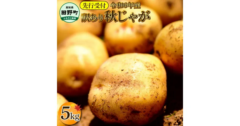 【ふるさと納税】《令和6年11月中旬から順次発送》 〜四国一小さなまちのじゃがいも〜　高知県田野町の大野台地で採れた令和6年産『秋じゃが 』5kg 訳アリ品！　大野台地 秋じゃが じゃがいも デジマ イモ ジャガイモ 芋 いも 訳あり 訳 ポテト 旬 野菜