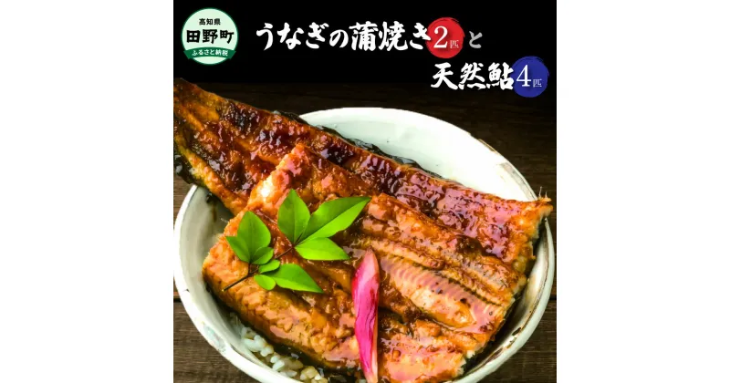 【ふるさと納税】 田野町産うなぎの蒲焼き2匹と天然鮎4匹セット うなぎ 鰻 ウナギ 国産 高知県産 蒲焼 かばやき たれ 山椒 鮎 あゆ アユ 塩焼き 焼き魚 魚 さかな 川魚 冷凍 配送 セット 詰め合わせ 真空パック グルメ 食べ物 食品 高知 ふるさとのうぜい 故郷納税