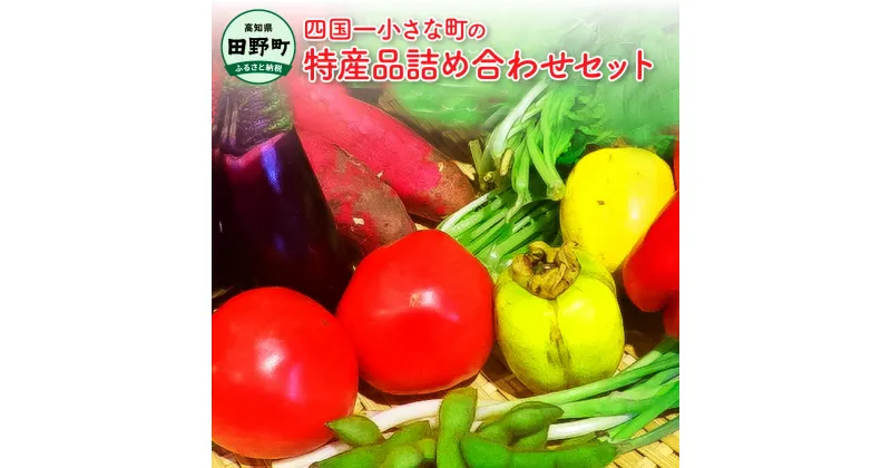 【ふるさと納税】 四国一小さな町の特産品詰め合わせセット 野菜 詰め合わせ セット 季節の野菜 旬の野菜 旬 特産 新鮮 田野町 道の駅 サラダ 根菜 やさい お楽しみ 野菜セット 特産品 常温配送 冷蔵配送 高知県産 高知 返礼品 故郷納税 ふるさとのうぜい 田野町