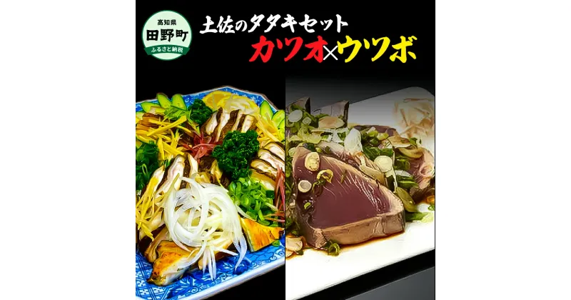 【ふるさと納税】 土佐のタタキセット（カツオ×ウツボ） カツオ1尾約350g ウツボ約250g~300g 薬味セット 鰹のタタキ ウツボのタタキ 鰹 カツオ ウツボ 詰め合わせ セット 海鮮 魚 土佐料理 郷土料理 珍味 冷蔵配送 国産 土佐 高知 返礼品 故郷納税 田野町