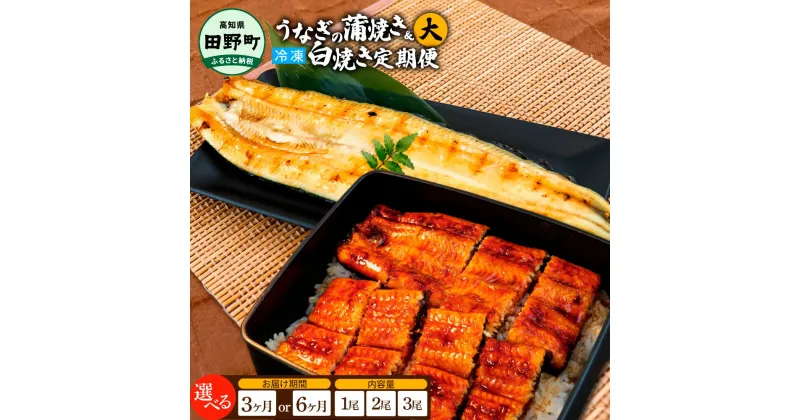 【ふるさと納税】田野町産うなぎの蒲焼き(大)+うなぎの白焼き(大)各1～3尾 定期便 3ヶ月 6ヶ月 定期コース 1尾あたり120～150g タレ・山椒付 うなぎ 鰻 ウナギ 蒲焼き かば焼き 白焼 国産 お取り寄せ 冷凍配送 送料無料 高知県 ふるさとのうぜい 故郷納税 返礼品 46000円から