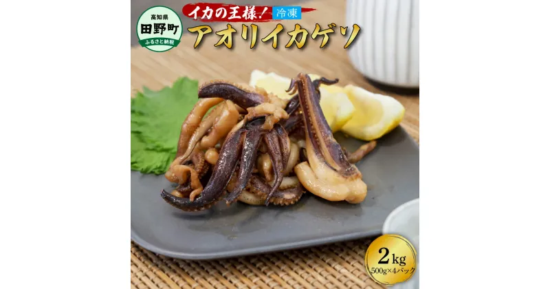 【ふるさと納税】イカの王様★アオリイカのゲソ 2kg アオリイカ ゲソ 500g×4パック 2000g 2キロ イカ いか 烏賊 魚介類 げそ いかげそ 焼き 唐揚げ おつまみ 美味しい 柔らかい 冷凍 配送 国産 高知県 田野町 ふるさとのうぜい 故郷納税 返礼品