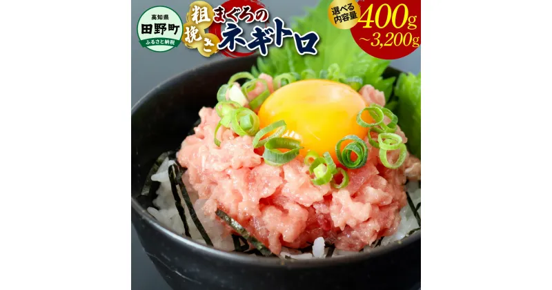 【ふるさと納税】≪カネアリ水産≫ まぐろのネギトロ 選べる 内容量 80g×5パックから ネギトロ ねぎとろ マグロ 鮪 まぐろたたき 粗挽き ねぎとろ丼 ネギトロ丼 手巻き寿司 そぼろ 小分け パック 個包装 セット 冷凍配送 一人暮らし 個食 便利 簡単 冷凍 食品 故郷納税 高知