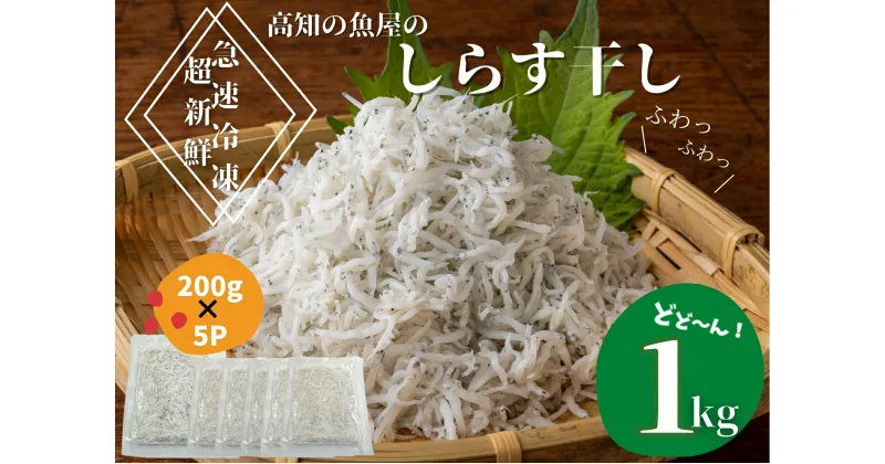 【ふるさと納税】★カネアリ水産★ ふわっふわ！土佐のしらす干し 1kg（約200g×5パック） 高知県 田野町 しらす しらす干し じゃこ ちりめんじゃこ ちりめん 干し 魚介 魚介類 栄養 栄養満点 離乳食 土佐 海鮮 魚屋 さかな 新鮮 食品 冷凍 送料無料 故郷納税 返礼品 10000円