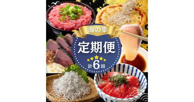 【ふるさと納税】★カネアリ水産★魚屋のうまいものづくし 6ヶ月定期便 （全6回）　かつお 鰹 カツオ たたき タタキ 魚 マグロ 鮪 まぐろ ネギトロ じゃこ ちりめん ピザ 刺身 海鮮 魚介 食品 漬け グルメ 取り寄せ 新鮮 定期 高知県 田野町 送料無料 73500円