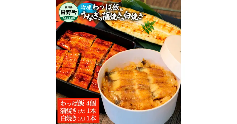 【ふるさと納税】～四国一小さなまち～ わっぱ飯4個+うなぎの蒲焼き(大)1尾+うなぎの白焼き(大)1尾 鰻 ウナギ お弁当 ご飯 ごはん めし わっぱめし かば焼き 無頭 タレ付き 山椒付き 簡単 レンジ お取り寄せ 冷凍 配送 高知県 田野町 ふるさとのうぜい 故郷納税 返礼品