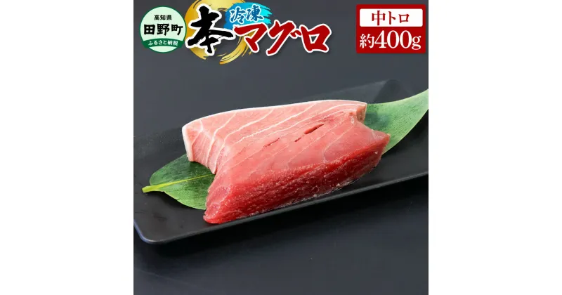 【ふるさと納税】～四国一小さなまち～ 本まぐろ 中トロ 約400g 本マグロ 本鮪 中とろ 刺身 刺し身 さしみ 魚 魚介 海鮮 海鮮丼 寿司 海の幸 生鮮 おかず おつまみ 惣菜 おいしい 美味しい お取り寄せ 冷凍 配送 高知県 田野町 ふるさとのうぜい 故郷納税 返礼品