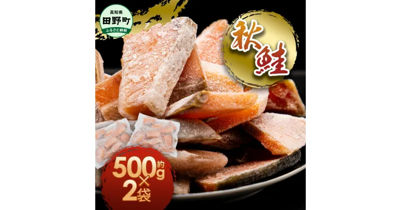 【ふるさと納税】秋鮭ぶつ切り 約1kg 500g×2袋 冷凍 小分け 切り身 切り落とし 秋鮭切り身 ふるさと さけ サケ 国産 国内産 ふるさと納税 鮭 切り身 天然 鮭茶漬け お弁当 おかず 便利 和食 家族 おいしい ふるさとのうぜい 故郷納税 高知県 高知 田野町 返礼品