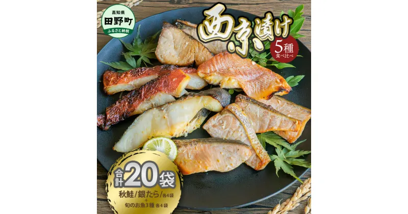 【ふるさと納税】～四国一小さなまち～ 西京漬け 5種食べ比べ(銀たら 鮭＋おまかせ3種) 計20袋 西京味噌 鱈 タラ 秋鮭 さけ サケ 魚 魚介類 海鮮 簡単 おかず おつまみ 和食 惣菜 焼き魚 鍋 食品 お取り寄せ 冷凍 配送 高知県 田野町 ふるさとのうぜい 故郷納税 返礼品