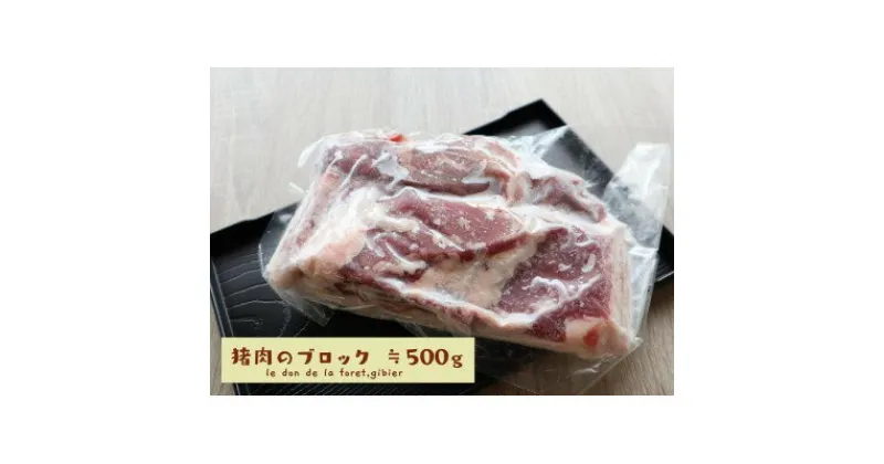 【ふるさと納税】いのしし肉(ブロック)約500g【土佐の里山グループLLC】【配送不可地域：離島】【1512107】