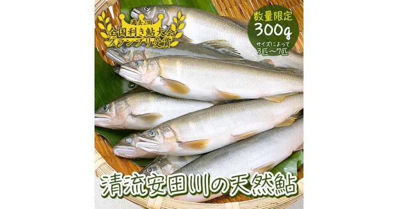 【ふるさと納税】清流安田川の天然鮎（冷凍） 川魚 魚介 あゆ お取り寄せグルメ 塩焼き 甘露煮 鮎めし 【481】