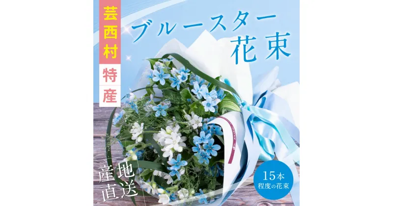 【ふるさと納税】 芸西村特産ブルースター花束（約15本程度の花束）故郷納税／高知県芸西村産で世界一にも輝いたブルースター（ピュアブルー）を生産地よりお届け 花言葉は「幸福な愛」「信じあう心」大切な方への贈り物としても