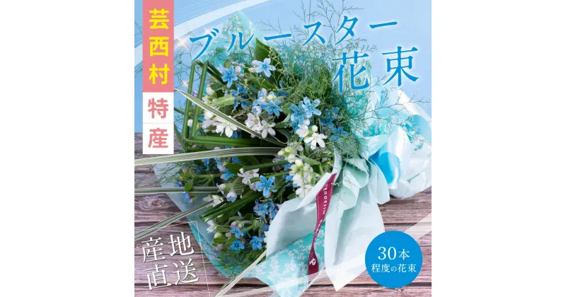 【ふるさと納税】 芸西村特産ブルースター花束（約30本程度の花束）故郷納税 2万円代／高知県芸西村産で世界一にも輝いたブルースター（ピュアブルー）を生産地よりお届け 花言葉は「幸福な愛」「信じあう心」大切な方への贈り物としても 10月中旬より発送予定