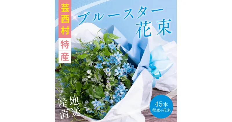 【ふるさと納税】 芸西村特産ブルースター花束（約45本程度の花束）故郷納税／高知県芸西村産で世界一にも輝いたブルースター（ピュアブルー）を生産地よりお届け 花言葉は「幸福な愛」「信じあう心」大切な方への贈り物としても 10月中旬より発送予定