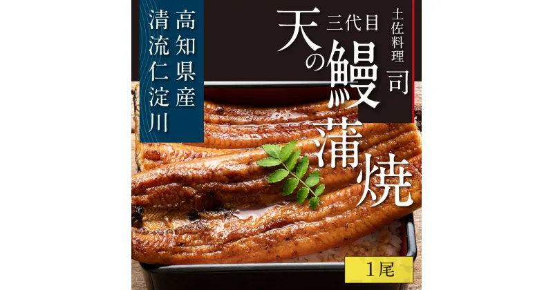 【ふるさと納税】 “土佐料理司”三代目天の鰻蒲焼1尾セット 故郷納税／「仁淀川」水系の地下水使用 完全無投薬養殖 国産・高知県産〈高知市共通返礼品〉うなぎ 真空パック (ウナギ・たれセット) コロナ 支援品 ギフト プレゼント 食べ物 健康 お中元 御中元 のし 熨斗