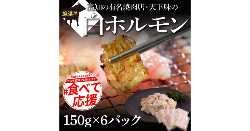 【ふるさと納税】 故郷納税 白ホルモン 天下味オリジナル本格塩ダレ漬け（150g×6パック） 高知市共通返礼品 人気 牛肉 お肉 小腸 焼き肉 タレ 焼肉 BBQ バーベキュー 冷凍 小分け おつまみ どんぶり お手軽 食べて応援