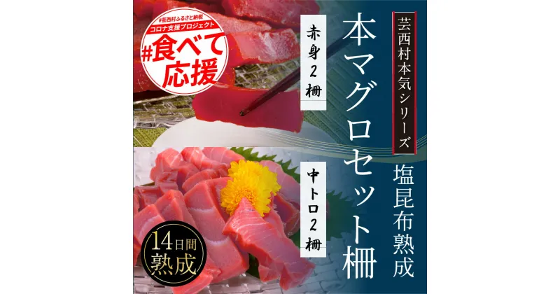 【ふるさと納税】コロナ緊急支援 芸西村本気の人気海鮮『塩昆布14日間熟成 本マグロ(赤身＆中トロ)セット柵(各2P計4P)』故郷納税 2万円台 ご褒美 本まぐろ 刺身 刺し身 魚 惣菜 海鮮丼 魚介類 食べきり 小分け 冷凍 天然 惣菜 お中元 のし ギフト 贈答 フードロス 食べて応援