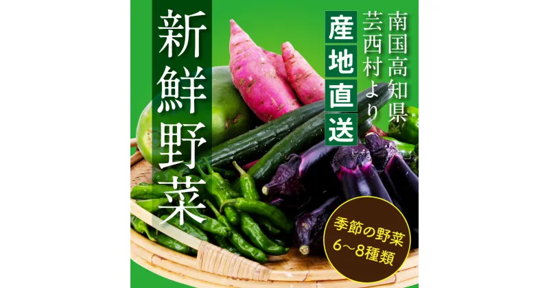 【ふるさと納税】【11月～6月発送分受付中】朝どれ！ 野菜詰合せ／芸西村で採れた新鮮な野菜6〜8種類をお届けします。特産品 ピーマン ナス こだわりの栽培方法 環境に優しい 安全で安心な野菜づくり コロナ 支援品