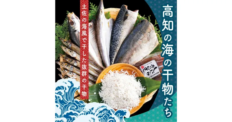 【ふるさと納税】 コロナ 緊急支援 故郷納税 9000円 海鮮 干物 ひもの 高知の海の干物たち 全7種 ＜土佐の海風で干した抜群の干物を＞＜高知市・南国市共通返礼品＞