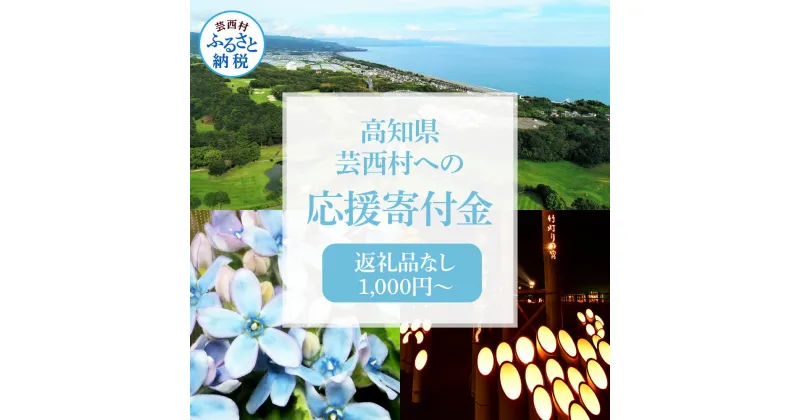 【ふるさと納税】芸西村応援寄付金 寄附のみ 1000円～ 返礼品なし 高知県芸西村 (寄付のみ 1000円 ポッキリ 送料無料 ポイント消化 お買い物マラソン 買い回りにも)