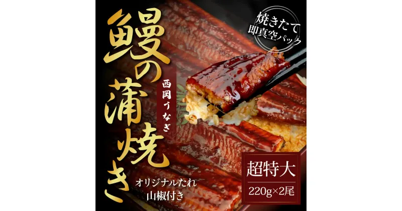 【ふるさと納税】コロナ緊急支援 人気惣菜 本気の高知ブランド鰻「西岡うなぎ」超特上(超特大サイズ)うなぎの蒲焼き2尾セット(約440g)タレ・山椒付き タレ増量中 国産ウナギ 高知 食べて応援 冷凍 蒲焼 うな丼 うな重 ひつまぶし 田野町共通返礼品 食べ物 お中元 のし 熨斗