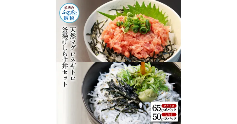 【ふるさと納税】天然マグロのねぎとろ丼と釜揚げしらす丼セット 合計14パック 高知県産 しらす シラス 小分け 国産 天然 まぐろたたき まぐろ ネギトロ丼 海鮮丼 軍艦巻き 手巻き寿司 お寿司 冷凍 まとめ買い お取り寄せ 13000円