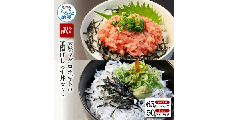 【ふるさと納税】訳あり 天然マグロのねぎとろ丼と釜揚げしらす丼セット 合計14パック 簡易包装 ご自宅用 訳アリ わけあり 高知県産 しらす シラス 小分け 国産 天然 まぐろたたき まぐろ ネギトロ丼 海鮮丼 軍艦巻き 手巻寿司 13000円