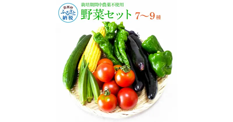 【ふるさと納税】先行予約 野菜セット（7‐9種類）栽培期間中農薬不使用！ 季節の野菜 詰め合わせ セット旬 無農薬 野菜 やさい 新鮮 自然 健康 冷蔵 美味しい おいしい 食べ物 食材 秋 旬の味覚 ご当地 お取り寄せ 芸西村 6000円 故郷納税 ふるさとのうぜい 高知県産 高知