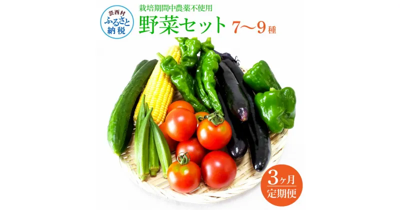 【ふるさと納税】先行予約 野菜セット（7‐9種類） 《3カ月定期便》 栽培期間中農薬不使用！ 季節の野菜 定期コース 定期 無農薬 野菜 やさい 新鮮 自然 健康 セット 詰め合わせ 冷蔵 美味しい おいしい 食べ物 食材 秋 旬の味覚 ご当地 お取り寄せ 芸西村 故郷納税 返礼品