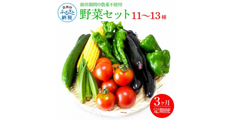 【ふるさと納税】先行予約 野菜セット（11‐13種類）《3カ月定期便》 栽培期間中農薬不使用！ 季節の野菜 定期コース 定期 無農薬 野菜 やさい 新鮮 自然 健康 セット 詰め合わせ 冷蔵 美味しい おいしい 食べ物 食材 秋 旬の味覚 ご当地 お取り寄せ 芸西村 30000円 故郷納税