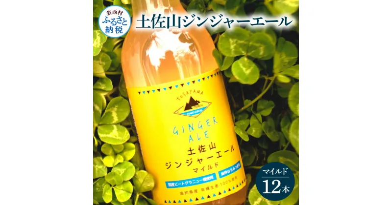 【ふるさと納税】土佐山ジンジャーエールマイルド12本セット ジンジャーエール マイルド 飲み物 セット お歳暮 御歳暮 ギフト ドリンク 大人 ジンジャー ジュース 炭酸飲料 美味しい おいしい 贈り物 故郷納税 19000円 ふるさとのうぜい 高知県産 生姜 芸西村 返礼品