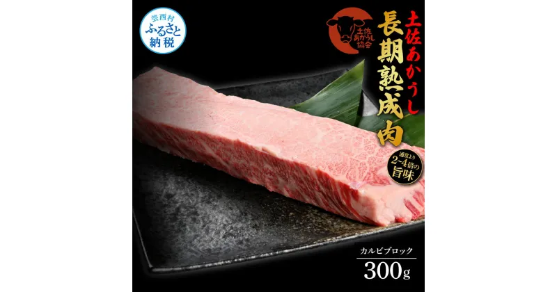 【ふるさと納税】天下味 エイジング工法 熟成肉 土佐あかうし 特選カルビブロック 300g エイジングビーフ カルビ 牛 ブロック 国産 あか牛 赤牛 肉 牛肉 和牛 人気 老舗焼肉店 冷凍 新鮮 真空パック 高級 お祝い 高知 高知県 芸西村 故郷納税 21000円 返礼品 贈答品 ギフト