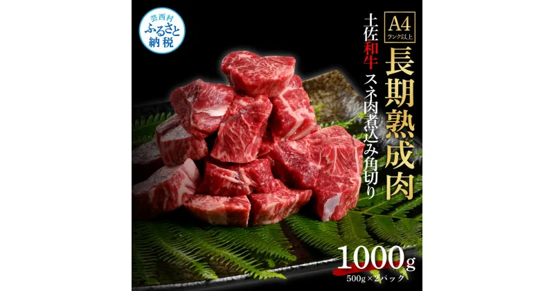 【ふるさと納税】天下味 エイジング工法 熟成肉 土佐和牛 特選スネ肉 煮込み角切り 500g×2 合計1kg エイジングビーフ スネ肉 国産 肉 牛肉 和牛 人気 老舗焼肉店 冷凍 新鮮 真空パック 高級 お祝い 高知 高知県 芸西村 故郷納税 19000円 返礼品 贈り物 贈答 ギフト