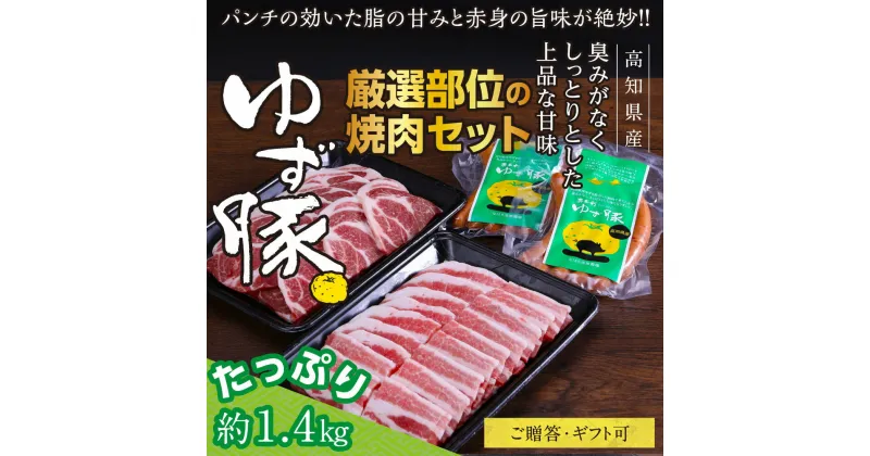 【ふるさと納税】【高知のブランド豚/ゆず豚】厳選部位の焼肉セット（約1.4kg）焼肉用 肩ロース500g バラ500g ソーセージ5本入り×2P 小分け BBQ やきにく 焼き肉 ソーセージ 豚肉 国産 詰め合わせ セット 化粧箱入り ギフト・熨斗対応可 贈答 故郷納税 返礼品 24000円