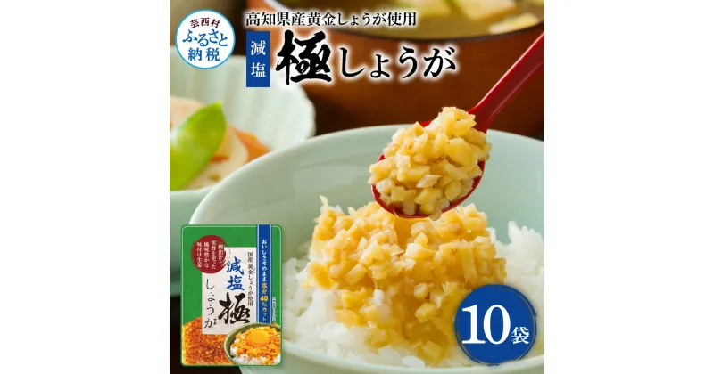 【ふるさと納税】減塩味付け極しょうが110g×10袋 減塩 しょうが ショウガ 生姜 生ふりかけ 坂田信夫商店 黄金しょうが 高知 国産 料理 おかず 調味料 ご飯のお供 混ぜご飯 刻み生姜 健康 話題 ふるさとのうぜい 故郷納税 7000円 返礼品 高知県産