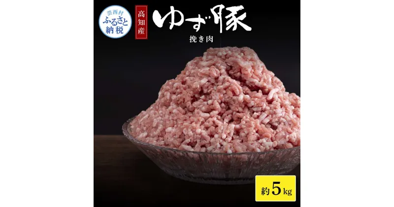 【ふるさと納税】なはりゆず豚挽き肉 5kg 500g×10パック ひき肉 挽き肉 豚肉 国産 ゆず豚 高知県産 肉 おにく 冷凍 小分けパック 個包装 そぼろ ハンバーグ おかず おうちごはん 小分け 一人暮らし ふるさとのうぜい 故郷納税 31000円 返礼品 高知県 高知