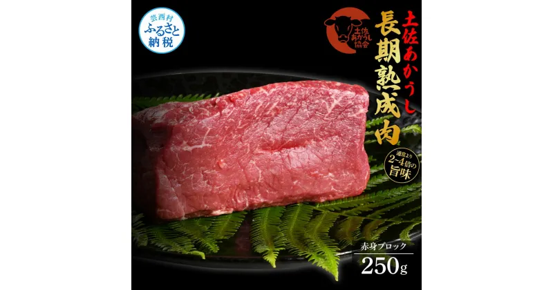 【ふるさと納税】天下味 エイジング工法 熟成肉 土佐あかうし 特選赤身ブロック 250g エイジングビーフ 赤身 牛 ブロック 国産 あか牛 赤牛 肉 牛肉 和牛 人気 老舗焼肉店 冷凍配送 新鮮 真空パック 高級 お祝い 高知 芸西村 故郷納税 15000円 返礼品 贈り物 贈答 ギフト