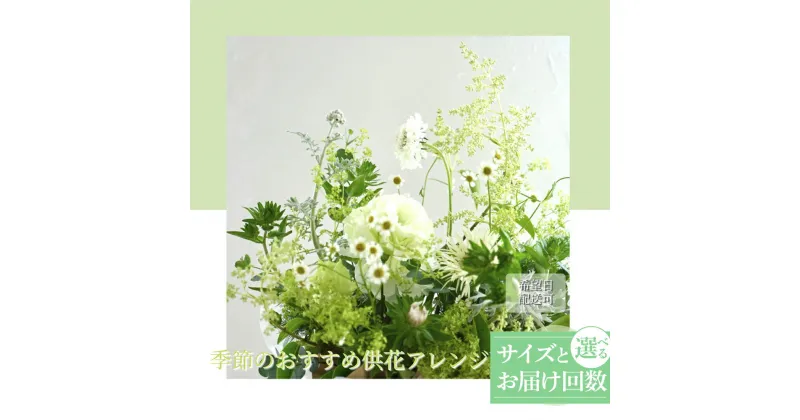 【ふるさと納税】 《3ヵ月定期便》生花アレンジ お供え 供花 選べるサイズとお届け回数 M L 定期便 定期コース 3回 6回 12回 フラワーアレンジメント そのまま飾れる お供え 花束 生花 仏花 供花 花束 はな 花 法要 お盆 お花 おすすめ 季節のお花 故郷納税 高知県 高知