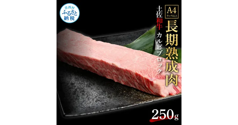 【ふるさと納税】天下味 エイジング工法 熟成肉 土佐和牛 特選 カルビブロック 250g エイジングビーフ 国産 肉 牛肉 和牛 人気老舗焼肉店 冷凍 新鮮 真空パック 高級 高知 高知県 芸西村 故郷納税 16000円 返礼品 贈り物 贈答 ギフト