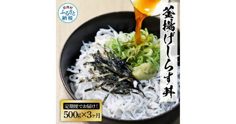 【ふるさと納税】《3ヶ月定期便》高知県産釜揚げしらす500g 定期便 定期コース 3回 簡易梱包 シラス 小分け 国産 釜揚げ しらす丼 海鮮丼 お茶漬け ごはん 軍艦巻き ご飯 おにぎり 冷凍配送 おかず おつまみ お取り寄せ 高知県 ふるさとのうぜい 故郷納税 返礼品